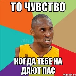 Пас это