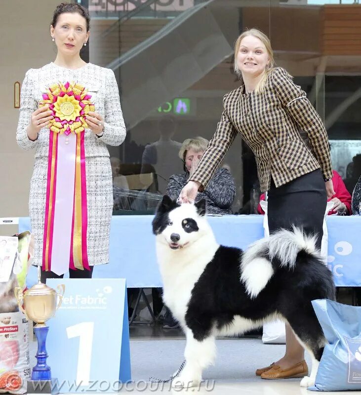 Зоокурьер выставки собак 2024 в санкт петербурге. Зоокурьер выставки собак в санкт-петербурге 2021. Зоокурьер выставки собак 2024 в санкт петербурге. Зоокурьер выставки собак 2024 в санкт петербурге. Зоокурьер выставки собак 2024 в санкт петербурге.