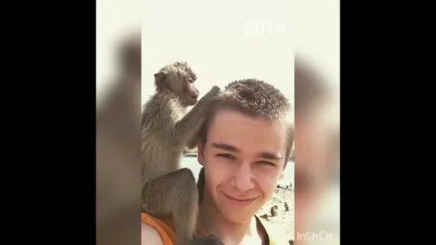 Сафик 1 4