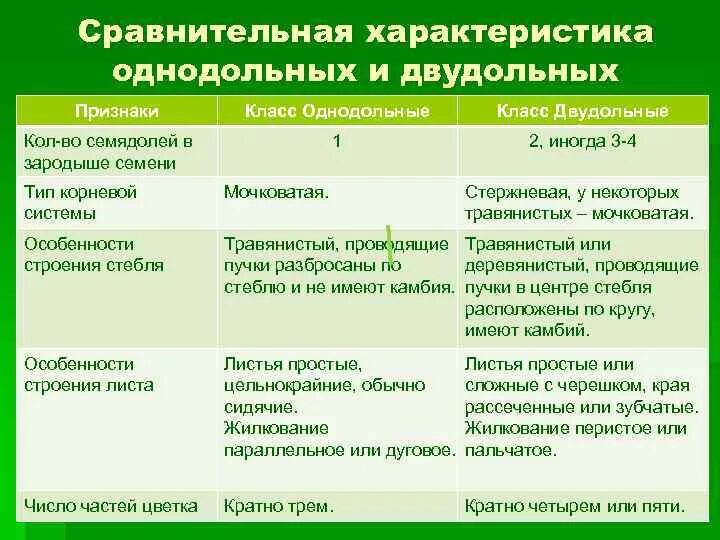 Как отличить двудольные. Признаки однодольных и двудольных таблица. Признаки однодольных и двудольных растений таблица. Признаки класса двудольных и однодольных растений таблица. Признаки однодольных и двудольных растений таблица 6.