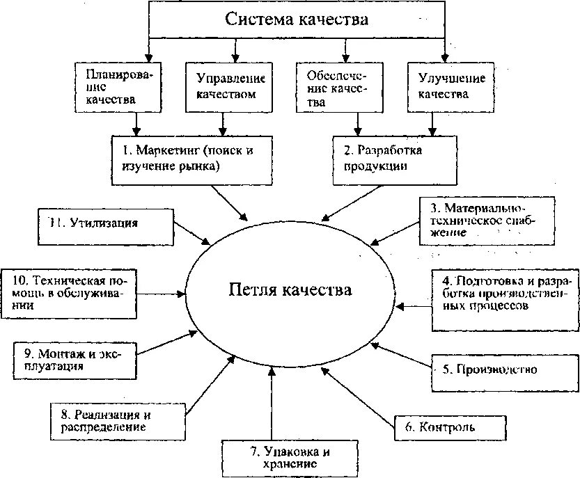 Схема цикла качества петля качества. Петля качества схема. Петля жизненного цикла продукции. Этапы жизненного цикла продукции петля качества. Система качества образец