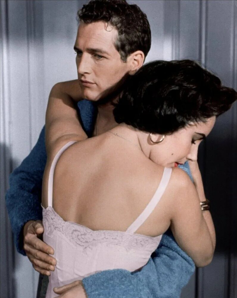 Пол ньюман кошка на раскаленной крыше. Кошка на раскаленной крыше фильм 1958. 1958 элизабет тейлор. Элизабет тейлор кошка на раскаленной крыше. Кот на раскаленной крыше.