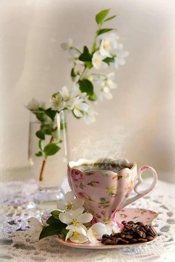 Красивые цветы в чашке. Нежное утро. Прекрасного весеннего утра. Апрельское утро картинки красивые с надписью