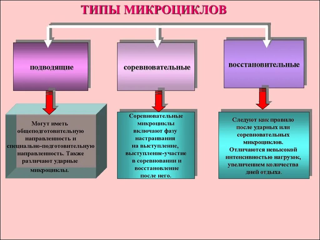 Микроцикл в спорте. Типы микроциклов в тренировочном процессе. Виды микроциклов. Микроцикл подготовки спортсменов. Виды микроциклов спортивной тренировки.