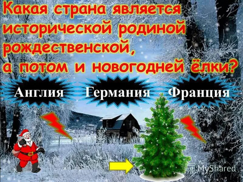 Родина рождественских елок. Родина рождественской елки. Историческая Родина новогодней елки Германия. Какая Страна считается родиной рождественских ярмарок.