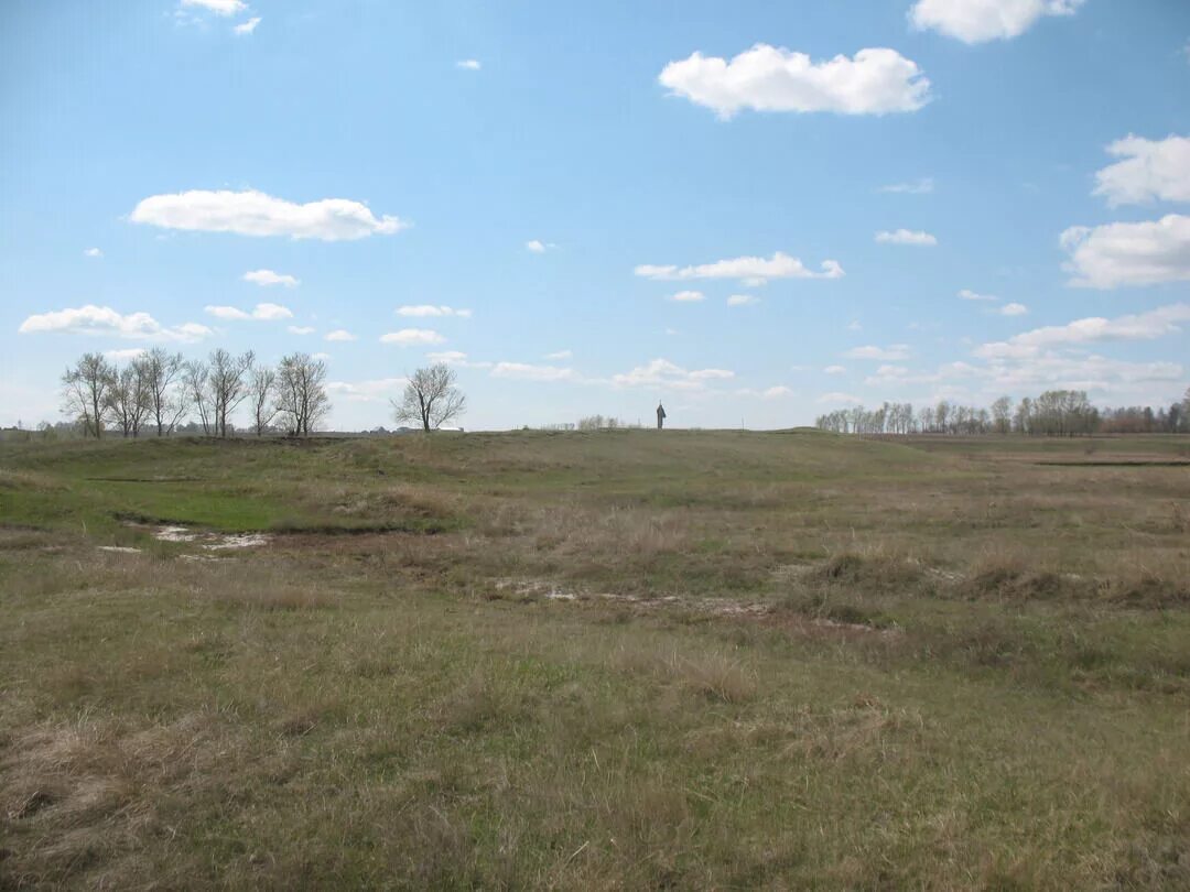 Село Калманка Алтайский край. Калманский район село Калманка. Село Калманка Калманского района Алтайского края. Абрамовский могильник.