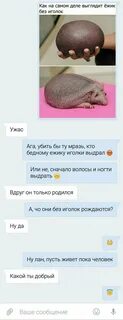 Черные переписки