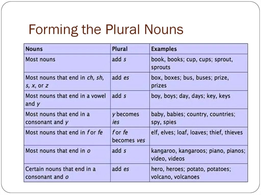 Plural forms of nouns