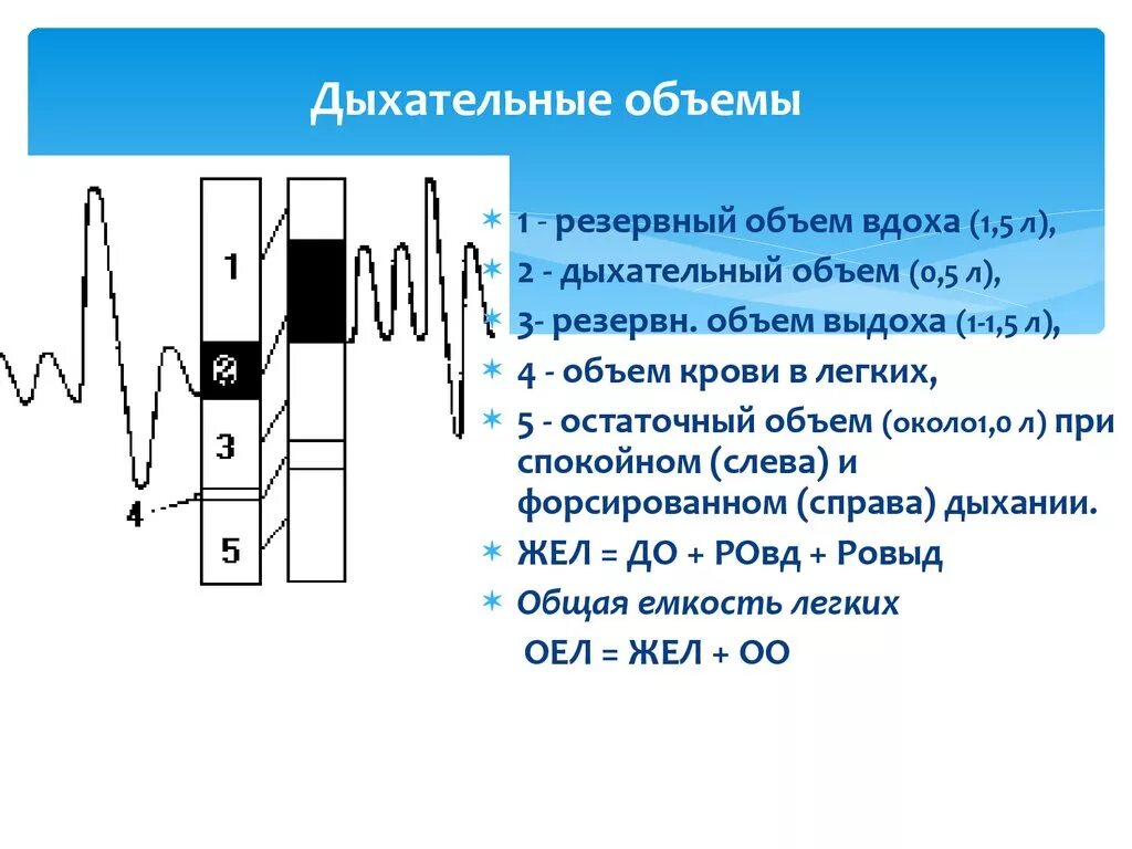 Величина дыхательного объема. Резервный объем вдоха и дыхательный объем. Резервный объем вдоха норма. Резервный объем вдоха и выдоха норма. Остаточный объем легких норма.