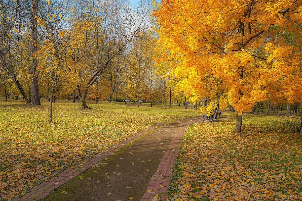 Осенью 2019 года. Осень октябрь. Осенний парк в октябре. Золотая осень в парке 50 летия октября. Нижневартовск осень.