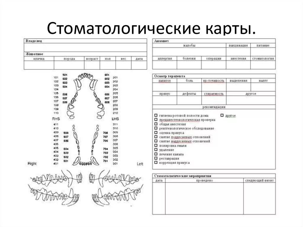 Карта стоматологического больного зубная формула. Заполнение карты ортопедического стоматологического больного. Карта осмотра стоматологического больного. Стоматологическая карта больного ортопедия бланк. Ортодонтическая карта пациента