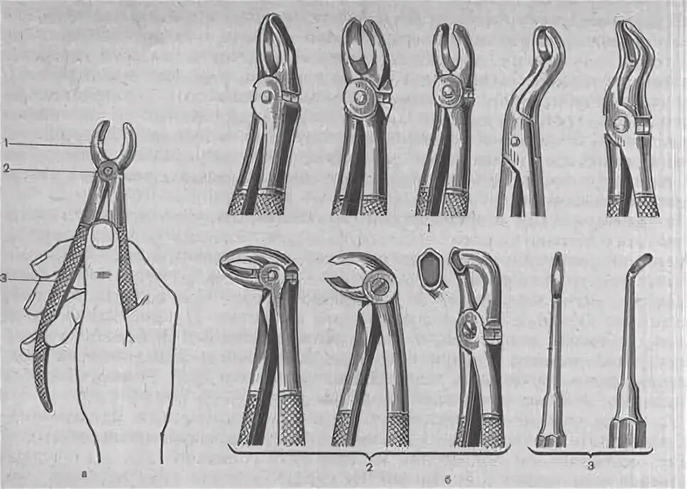 Зубы удалять щипцами. Стоматологические щипцы для удаления зубов верхней челюсти. Способы удержания щипцов для удаления зубов. Щипцы прямые для удаления фронтальных зубов. Щипцы хирургические стоматологические.