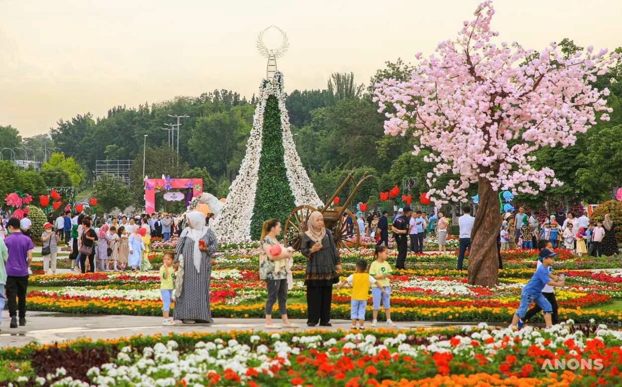 Цветущий ташкент. Tashkent Flower Festival 2022. Tashkent Flower Festival 2023. Гуллар фестивали 2022 Ташкент. Праздник цветов.