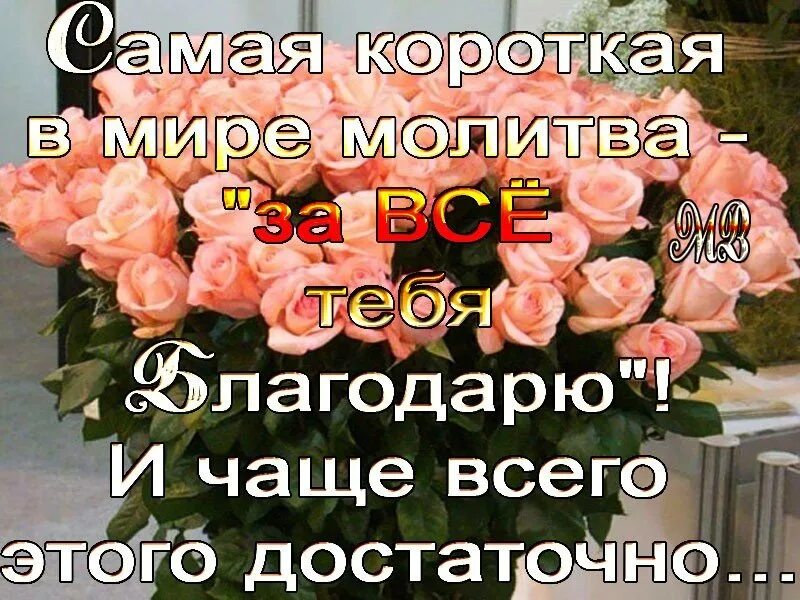 Молитва благодарности богу за все. Молитва благодарю бога. Благодарю тебя за молитвы. Благодарственные молитвы. Молитва благодарности господу богу за помощь.