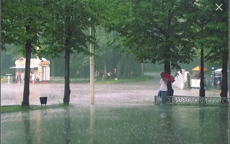 Сеющий дождь. Дождь парк лето. Лавочка в парке эстетика. Дождливая аллея. Дождь в парке летом.
