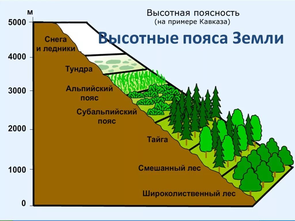 Поверхность природной зоны. Природные зоны Кавказа Высотная поясность. Субтропики Высотная поясность. Высотная поясность кавказских гор. Зоны ВЫСОТНОЙ поясности РФ.