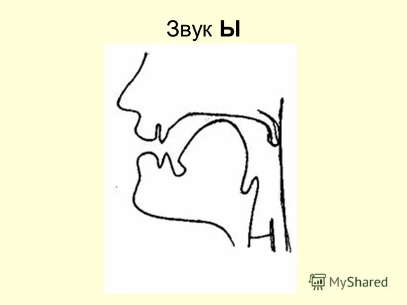 Артикуляция произношения звука и. Артикуляционный профиль звука ы. Артикуляция звука ы. Профиль звука с. Артікуляционные профили звуков.