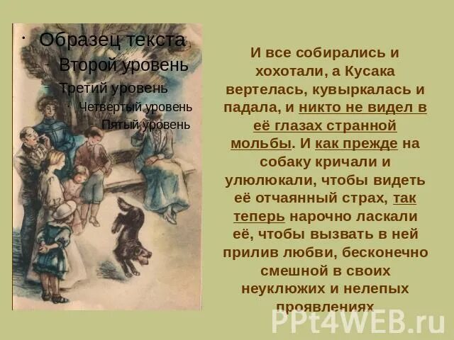 Содержание кусака 7 класс. Л н андреев сказка кусака. кусака краткое содержание. л андреев кусака читательский дневник.