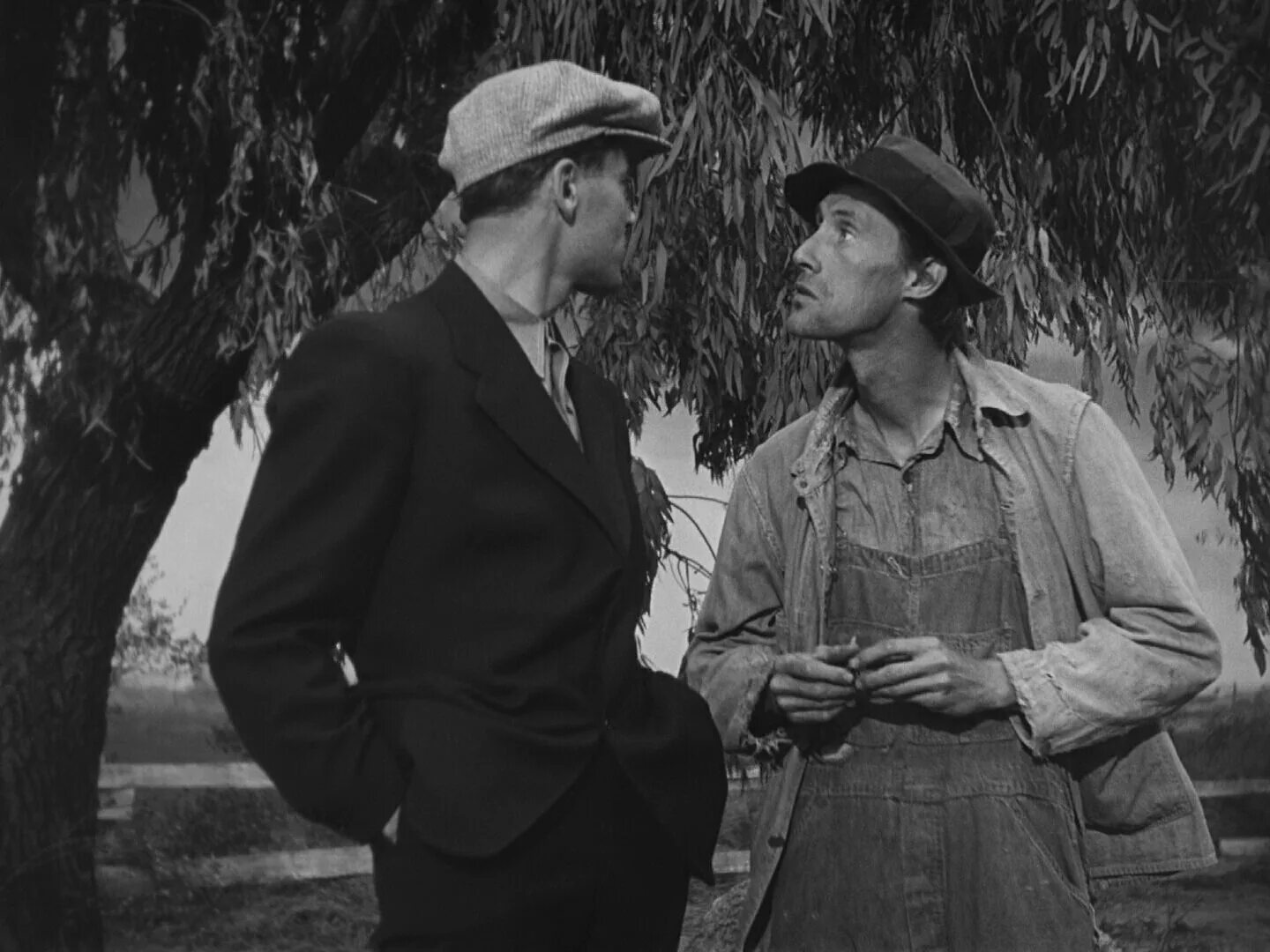 The grapes of wrath