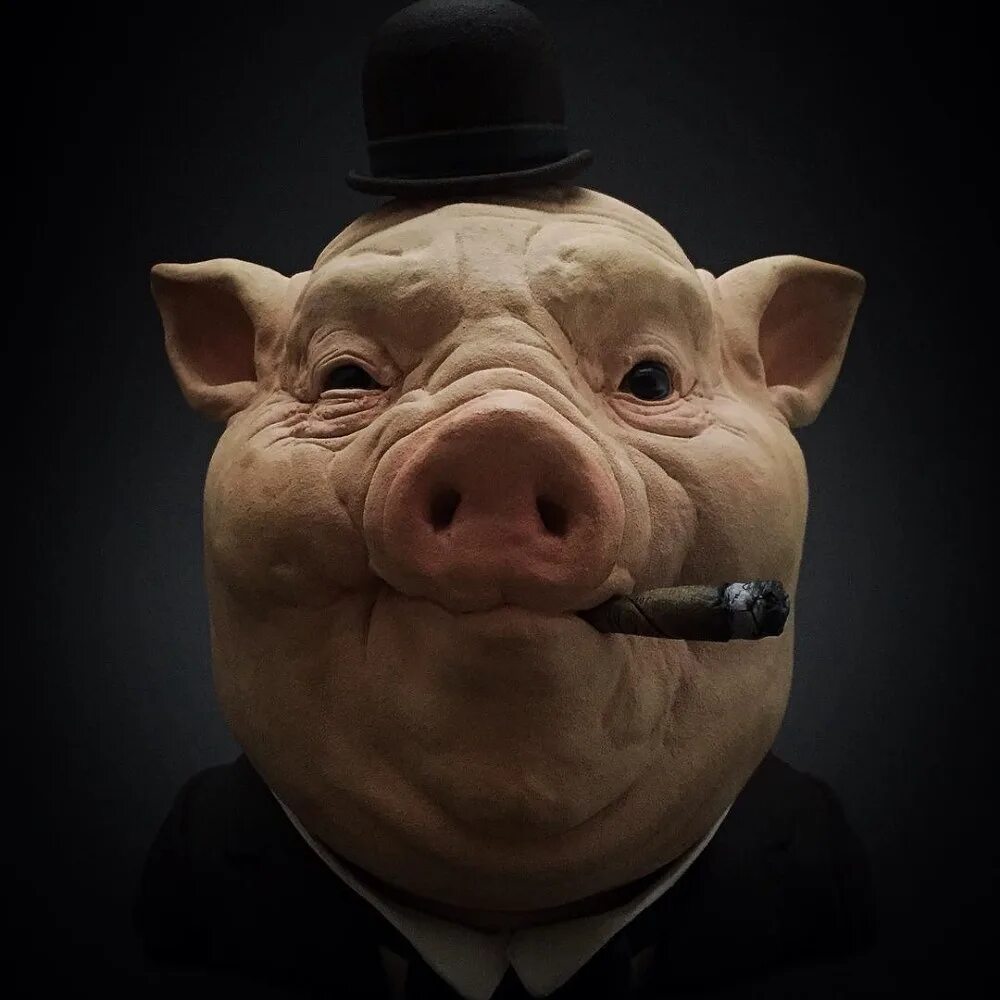 Поросенок улыбается. Свинка в очках. Милая свинка. Ава свинки. Забавные поросята.