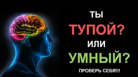Думаешь ты умный дам тебе