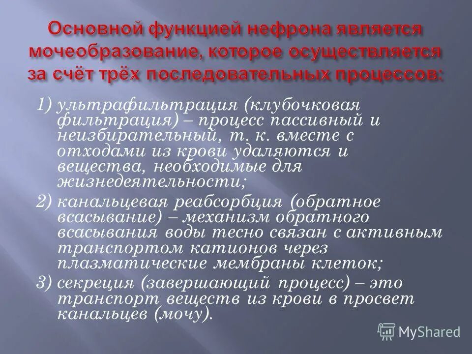 Процесс мочеобразования этапах складывается. Процесс мочеобразования складывается. Пассивный процесс. Пассивность восприятия. Пассивным процессом является.