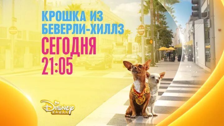 Полицейский из беверли-хиллз (1984). Полицейский из беверли-хиллз: аксель фоули. Эдди мерфи полицейский из беверли хиллз. Полицейский из беверли-хиллз: аксель фоули. Крошка из беверли-хиллз dvd.