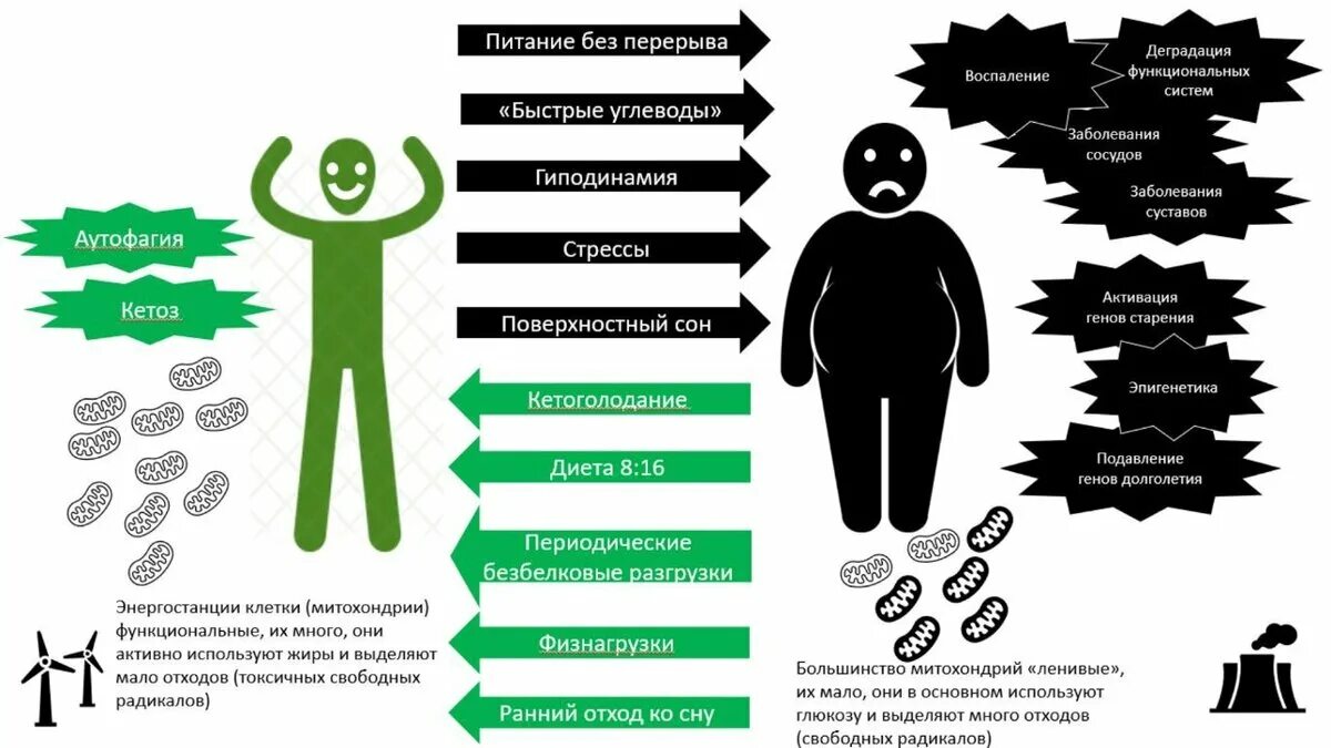 Голодно определения. Разновидности голода. Голодание виды голодания. Виды нарушения голодания. Виды частичного голодания.