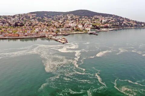 Вид мраморного моря