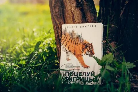 Книга дикая природа