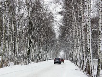 Погода в апрелевке московская
