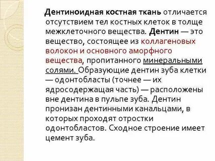 К какому виду ткани относится костная ткань
