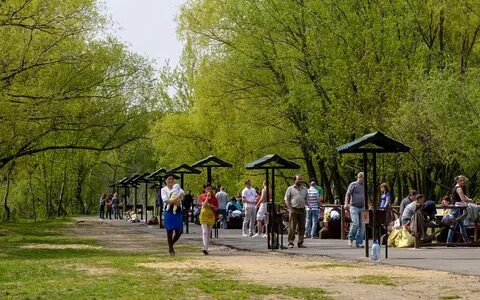 Жарь парку