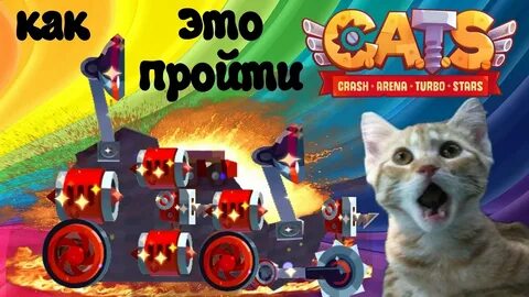 Кетс витек