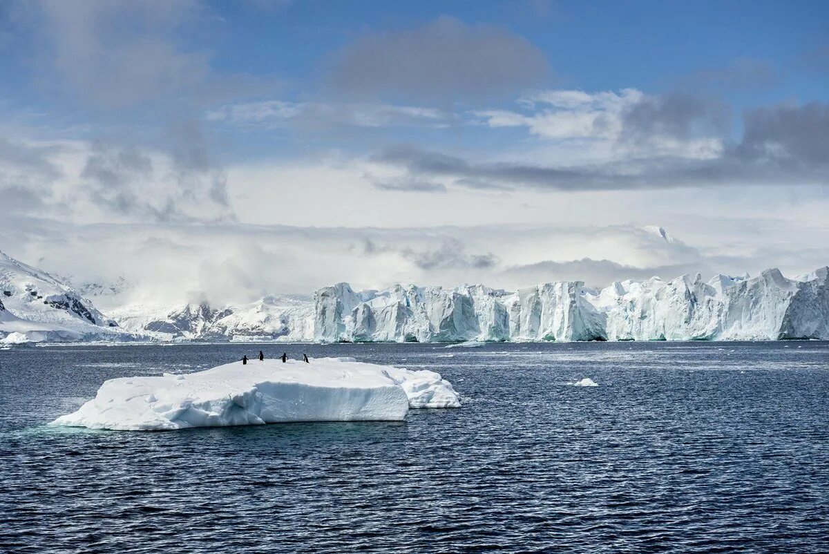 Самый большой остров северного ледовитого. Южный Ледовитый океан. Южный антарктический океан. Антарктида Гренландия Арктика Северный Ледовитый океан. Северный Ледовитый океан и Антарктика.