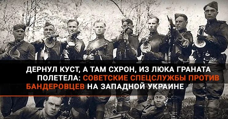 НКВД против бандеровцев. Советские листовки против бандеровцев. Бандеровские схроны в Западной Украине. Презентация на бедеровское движение.