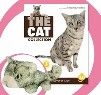 The cat collection