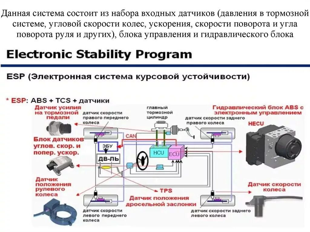 Система стабилизации (ESP). Система динамической стабилизации ESP. Датчики системы курсовой устойчивости. Система курсовой устойчивости принцип работы.