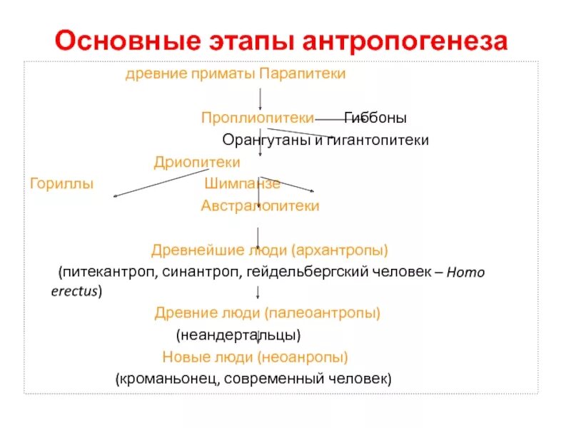 Верная последовательность этапов антропогенеза. Этапы антропогенеза от дриопитеков. Таблица Антропогенез 11 класс. Этапы антропогенеза 10 класс. Характеристика этапов антропогенеза таблица.