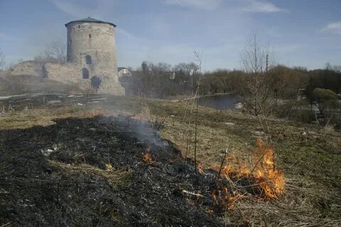 Псковская область экология