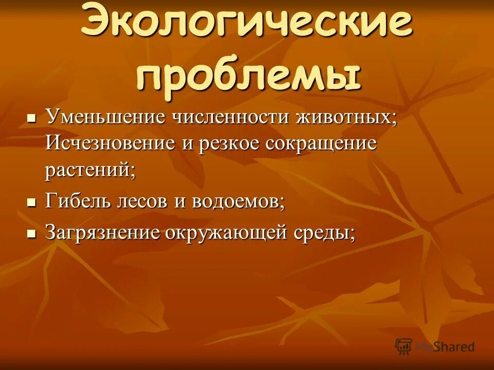 экологические проблемы в тайге в тайге в россии. экологические проблемы тайги в россии. экологические проблемы в ту. экологические проблемы в ту. тайга основные проблемы.