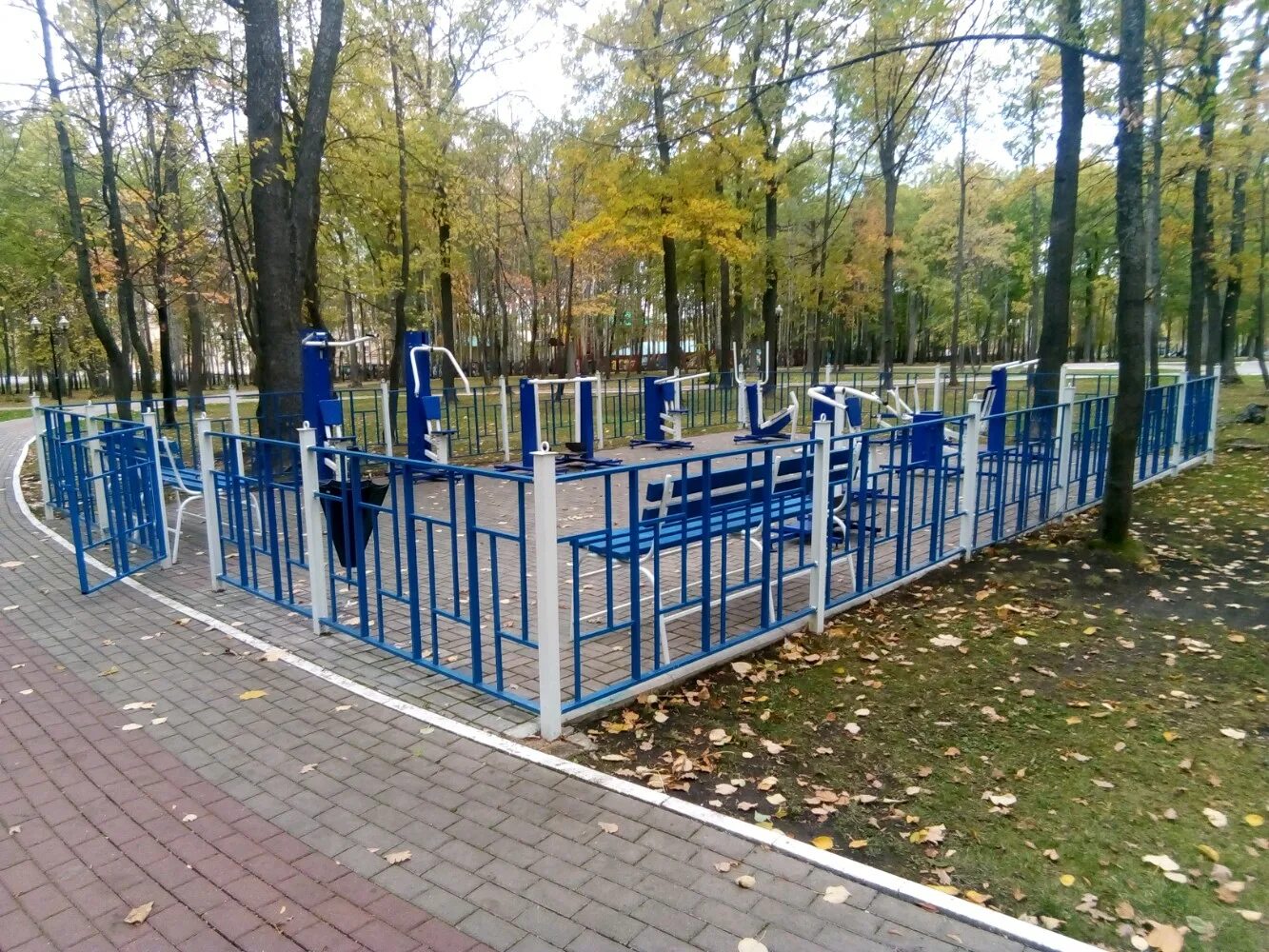 Ночь кино в Пролетарском парке города Саранска 2019, Саранск - дата и место пров