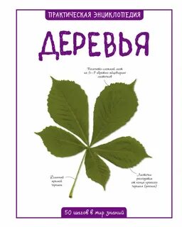 Книга деревья читать