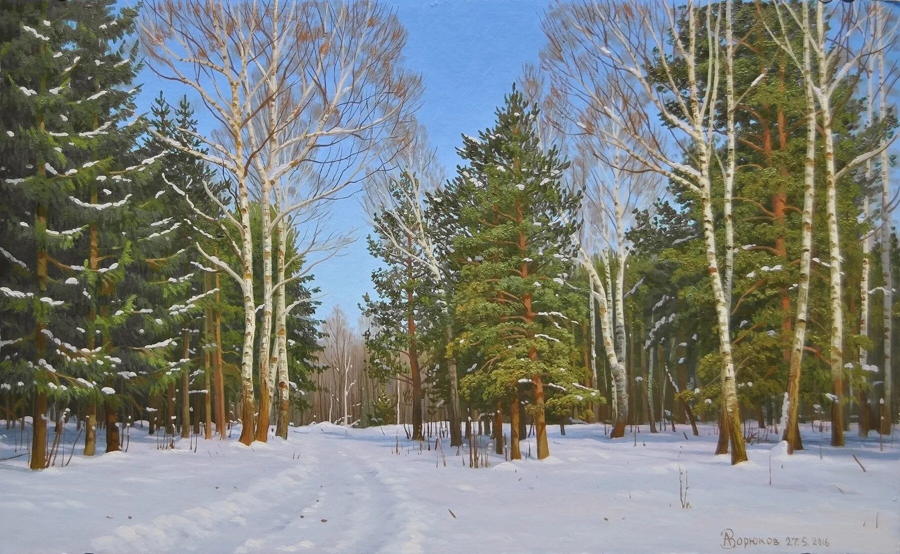 Лес Березово-Сосновый зима. Березовая ель