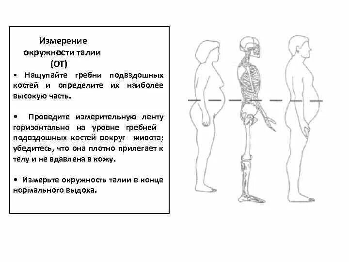 Какие значения окружности талии являются нормальными. Измерение окружности талии. Измерение обхвата талии алгоритм. Измерение окружности талии алгоритм. Алгоритм измерения объема талии пациента.