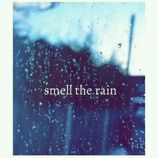 Feel the rain