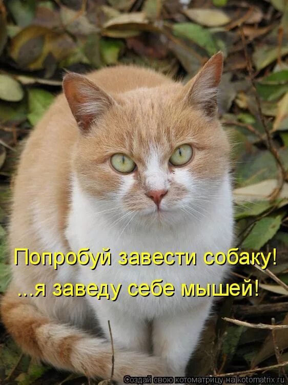 пробуем заводить. пробуем заводить.