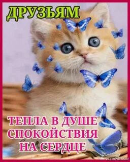 Теплое здравствуйте