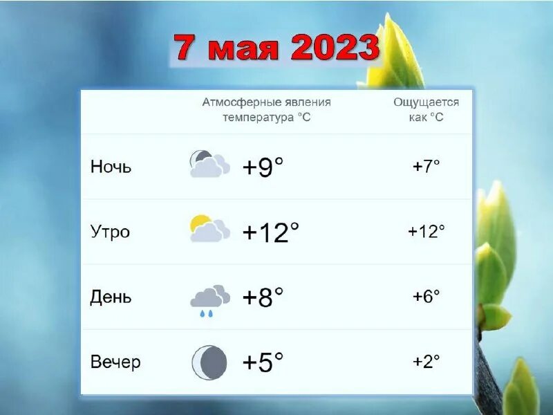 Прогноз погоды в новоуральске на месяц. Погода на завтра. Прогноз погоды в новоуральске на месяц. Погода пермь. Гисметео.