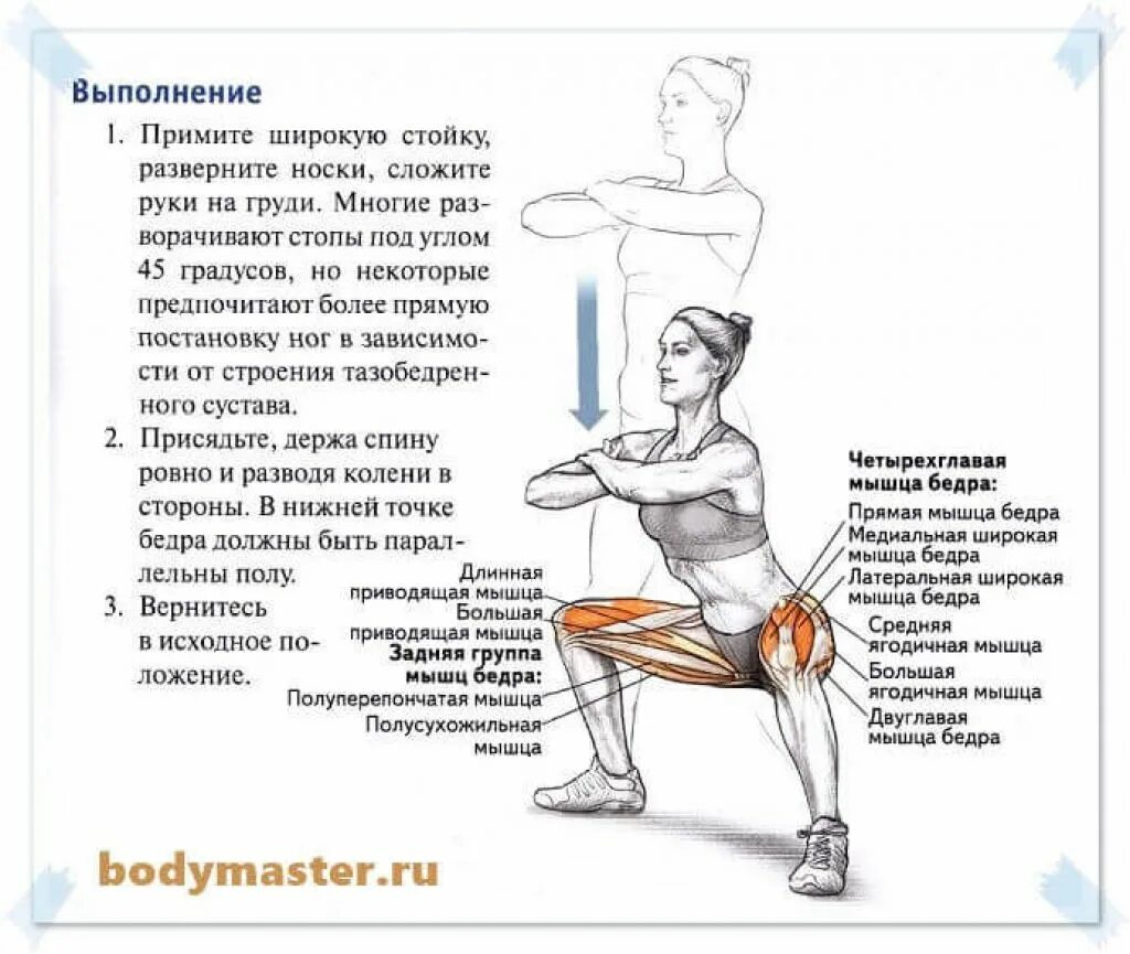 Мышцы работающие при приседании. Приседания плие со штангой. приседание плие анатомия. приседания сумо мышцы задействованы. плие сбоку.